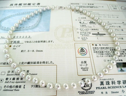 🔥Hot Sale 49% OFF+Gift Box (Free) 🎁 AAAA Pearl Necklace