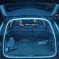 💥 LAST DAY PROMOTION - 50%OFF 💥 Dynamically flowing trunk light stripes