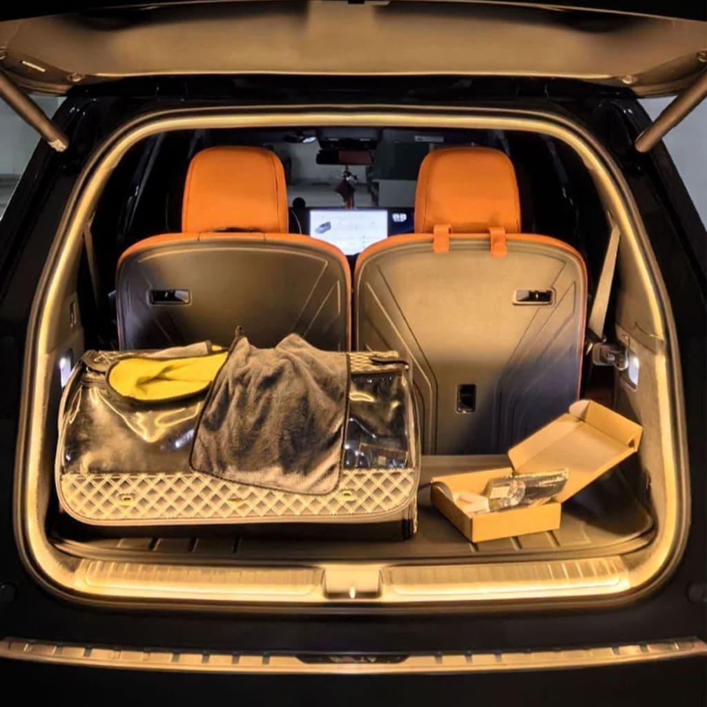 💥 LAST DAY PROMOTION - 50%OFF 💥 Dynamically flowing trunk light stripes