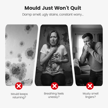 🎁Black Friday limited time sale!🎁Highly Effective Mould Removal Spray - Prevents Mould Regrowth
