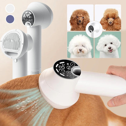 🎁Limited Time 40% OFF⏳&Free Shipping🔥Low Noise Pet Hair Dryer with Slicker Brush