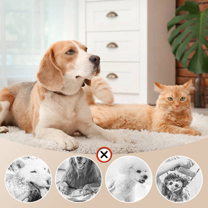 🎁Limited Time 40% OFF⏳&Free Shipping🔥Low Noise Pet Hair Dryer with Slicker Brush