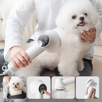 🎁Limited Time 40% OFF⏳&Free Shipping🔥Low Noise Pet Hair Dryer with Slicker Brush