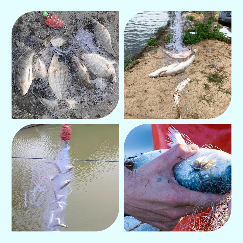 🔥Vente chaude 2025 -50 %🔥Filet maillant de pêche avec piège à appâts à ressort