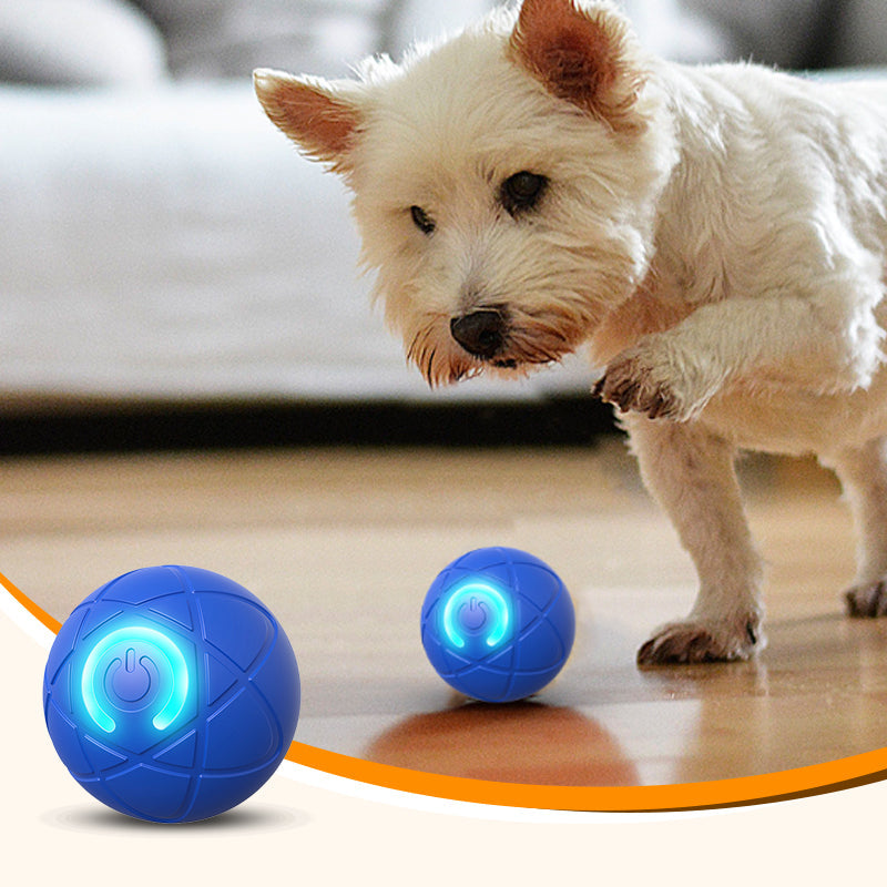 📢📢50% OFF !! ⏰Interactive bouncing ball specially designed for dogs.