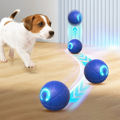 📢📢50% OFF !! ⏰Interactive bouncing ball specially designed for dogs.