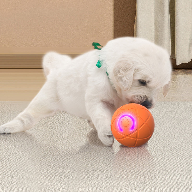 📢📢50% OFF !! ⏰Interactive bouncing ball specially designed for dogs.