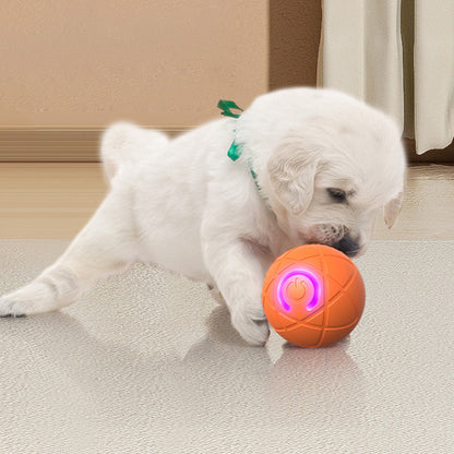 📢📢50% OFF !! ⏰Interactive bouncing ball specially designed for dogs.