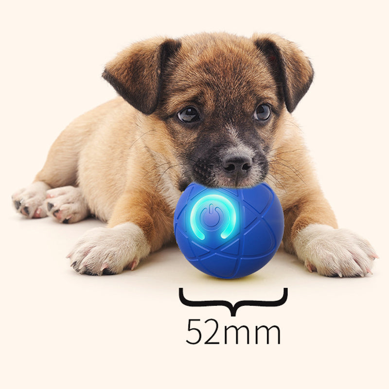 📢📢50% OFF !! ⏰Interactive bouncing ball specially designed for dogs.