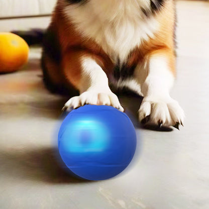 📢📢50% OFF !! ⏰Interactive bouncing ball specially designed for dogs.