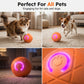 🐾 AUTOMATISK SPRETTENDE SMART KJÆLEDYRBALL MED FJERNKONTROLL – 3 interaktive moduser | Tyggesikker E-TPU | USB-C oppladbar 🎾