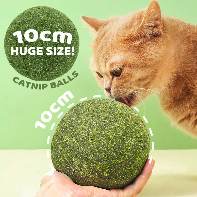 🐱🌿 GIANT NATURAL CATNIP BALL 10 cm – 50% OFF! Chew Toy for Cats, Interactive Catnip Toy, Relieves Stress and Cleans Teeth! 🧶✨