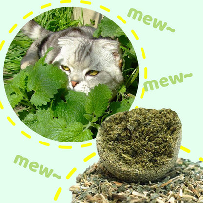 🐱🌿 GIANT NATURAL CATNIP BALL 10 cm – 50% OFF! Chew Toy for Cats, Interactive Catnip Toy, Relieves Stress and Cleans Teeth! 🧶✨