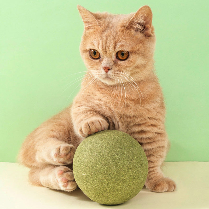 🐱🌿 GIANT NATURAL CATNIP BALL 10 cm – 50% OFF! Chew Toy for Cats, Interactive Catnip Toy, Relieves Stress and Cleans Teeth! 🧶✨