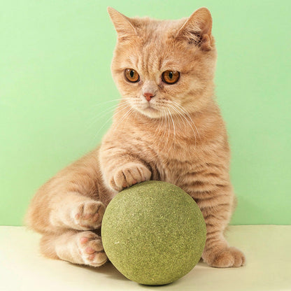 🐱🌿 GIANT NATURAL CATNIP BALL 10 cm – 50% OFF! Chew Toy for Cats, Interactive Catnip Toy, Relieves Stress and Cleans Teeth! 🧶✨
