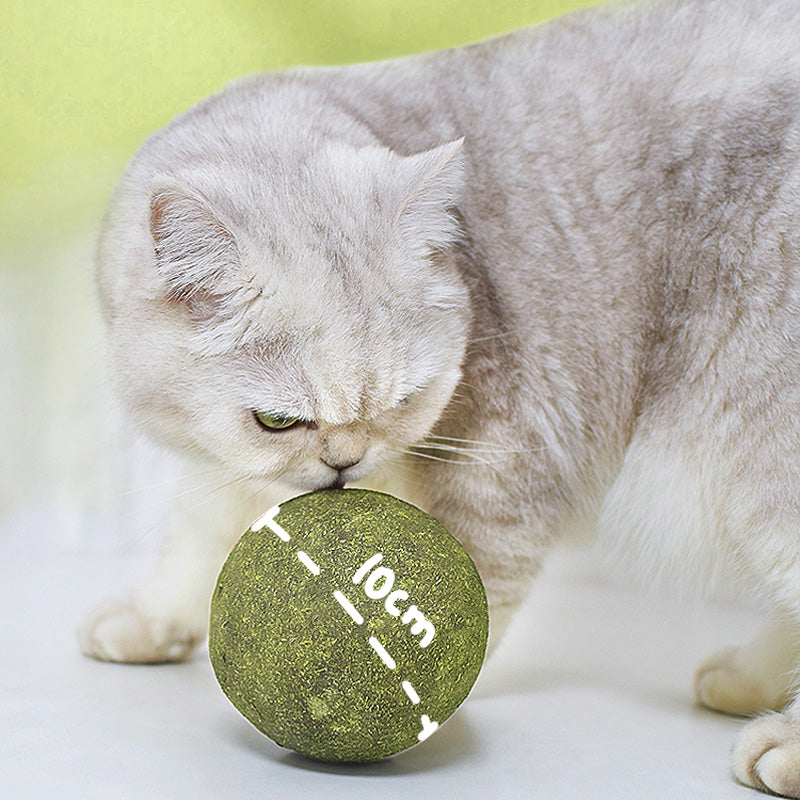 🐱🌿 GIANT NATURAL CATNIP BALL 10 cm – 50% OFF! Chew Toy for Cats, Interactive Catnip Toy, Relieves Stress and Cleans Teeth! 🧶✨