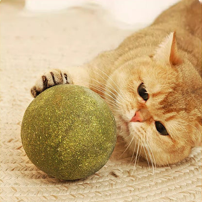 🐱🌿 GIANT NATURAL CATNIP BALL 10 cm – 50% OFF! Chew Toy for Cats, Interactive Catnip Toy, Relieves Stress and Cleans Teeth! 🧶✨