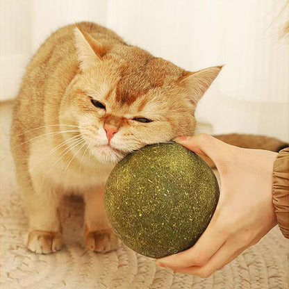 🐱🌿 GIANT NATURAL CATNIP BALL 10 cm – 50% OFF! Chew Toy for Cats, Interactive Catnip Toy, Relieves Stress and Cleans Teeth! 🧶✨