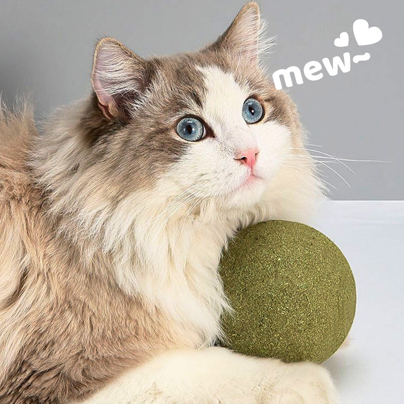 🐱🌿 GIANT NATURAL CATNIP BALL 10 cm – 50% OFF! Chew Toy for Cats, Interactive Catnip Toy, Relieves Stress and Cleans Teeth! 🧶✨